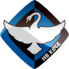 Drapeau de HB KOGE