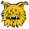 Drapeau de ILVES TAMPERE