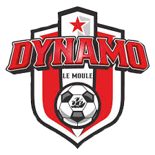 Drapeau de DYNAMO LE MOULE