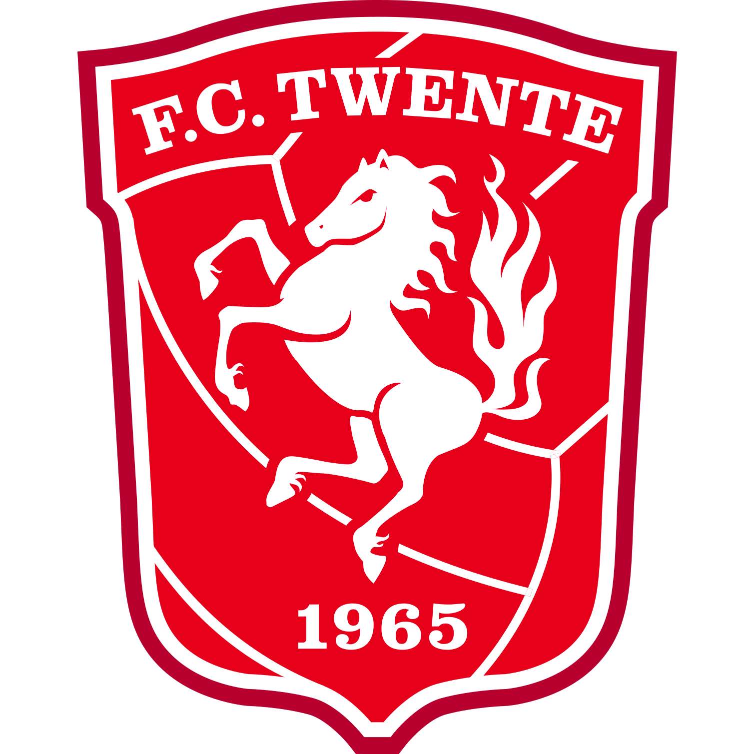 Drapeau de FC TWENTE
