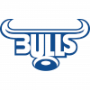 Drapeau de BULLS